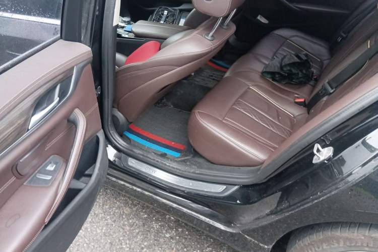 Used BMW 5 Series New Energy 2020 530Le Luxury Package Left Rear Seat