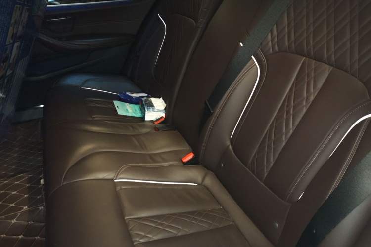 Used BMW 5 Series New Energy 2020 Mileage Upgrade Version 530Le Luxury Package Left Rear Seat