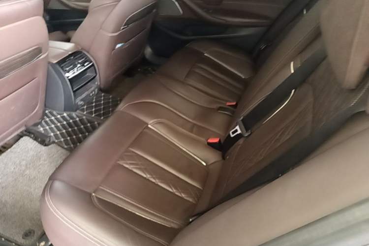 Used BMW 5 Series New Energy 2020 530Le Pioneer Edition Left Rear Seat