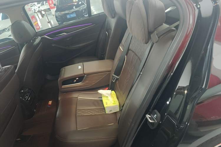 Used BMW 5 Series New Energy 2020 Mileage Upgrade Version 530Le Luxury Package Left Rear Seat