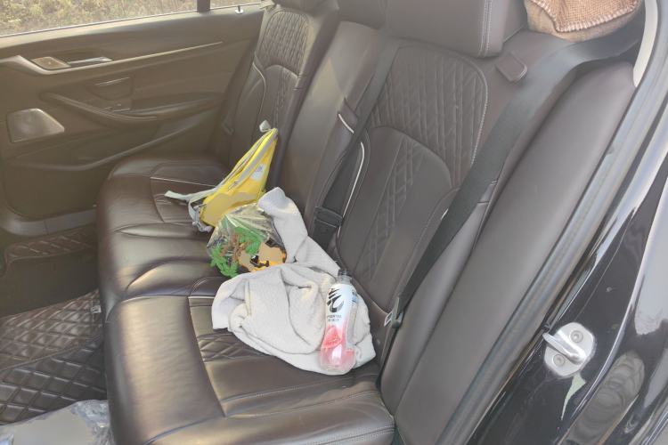 Used BMW 5 Series New Energy 2020 Mileage Upgrade Version 530Le Luxury Package Left Rear Seat