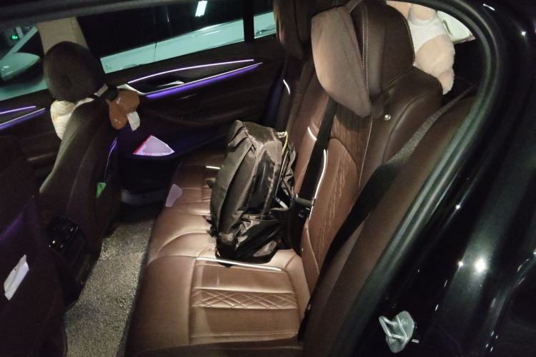 Used BMW 5 Series New Energy 2020 Mileage Upgrade Version 530Le Luxury Package Left Rear Seat