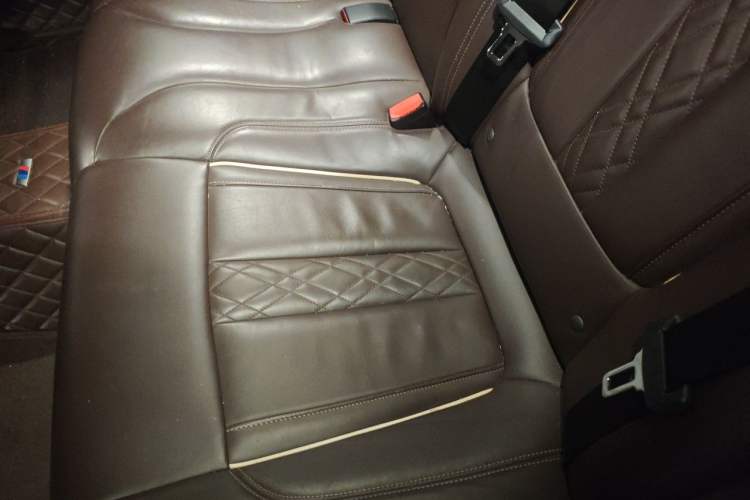 Used BMW 5 Series New Energy 2020 530Le Luxury Package Left Rear Seat