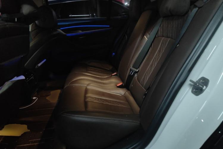 Used BMW 5 Series New Energy 2020 530Le Luxury Package Left Rear Seat