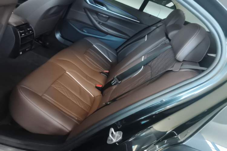 Used BMW 5 Series New Energy 2020 Mileage Upgrade Version 530Le Luxury Package Left Rear Seat