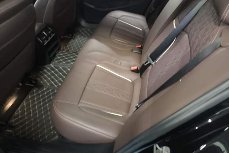 Used BMW 5 Series New Energy 2020 Mileage Upgrade Version 530Le Luxury Package Left Rear Seat