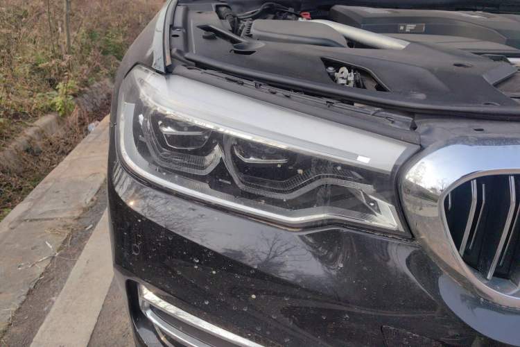 Used BMW 5 Series New Energy 2020 Mileage Upgrade Version 530Le Luxury Package Right Front Headlight