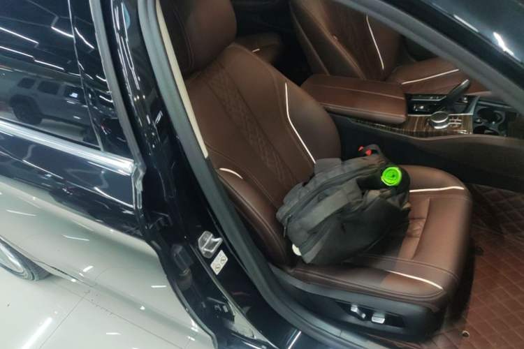 Used BMW 5 Series New Energy 2020 Mileage Upgrade Version 530Le Luxury Package Right Front Seat