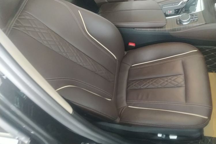 Used BMW 5 Series New Energy 2020 Mileage Upgrade Version 530Le Luxury Package Right Front Seat