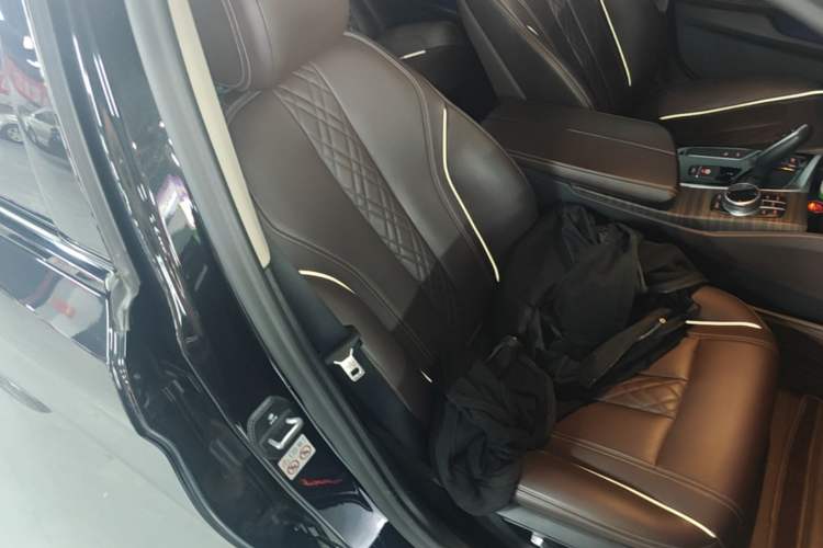 Used BMW 5 Series New Energy 2020 Mileage Upgrade Version 530Le Luxury Package Right Front Seat