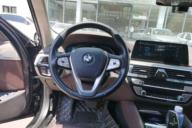 Used BMW 5 Series New Energy 2020 530Le Luxury Package Steering Wheel
