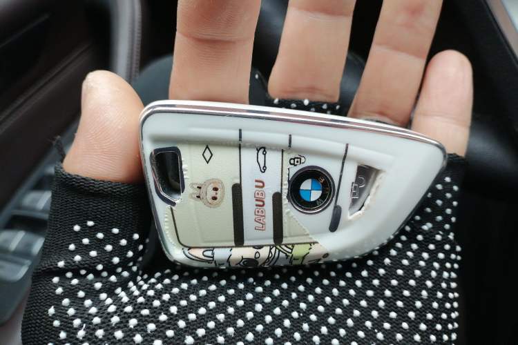 Used BMW 5 Series New Energy 2020 Mileage Upgrade Version 530Le Pioneer Edition Vehicle Key