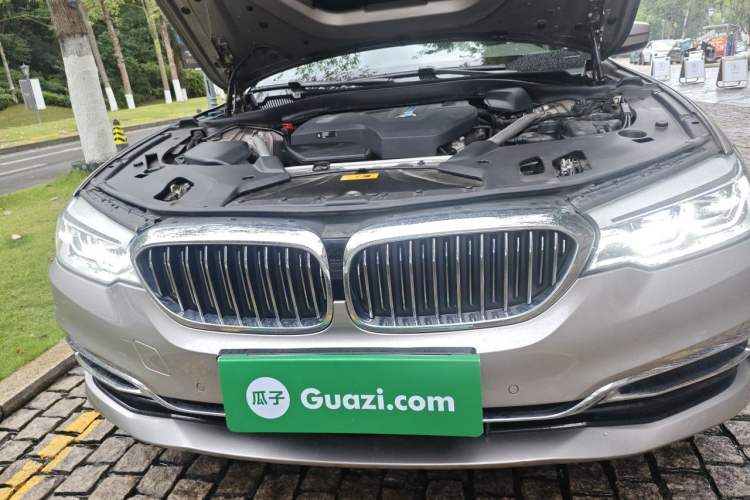 Used BMW 5 Series New Energy 2020 Mileage Upgrade Version 530Le Pioneer Edition Engine Bay
