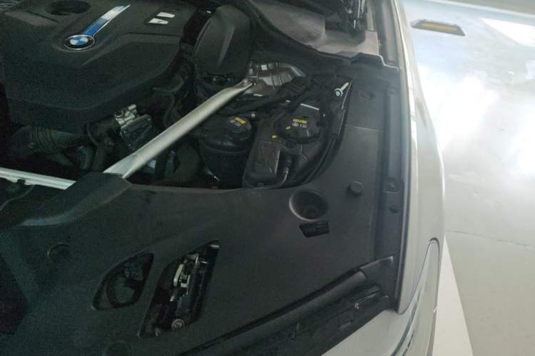 Used BMW 5 Series New Energy 2020 Mileage Upgrade Version 530Le Luxury Package Engine Bay Left