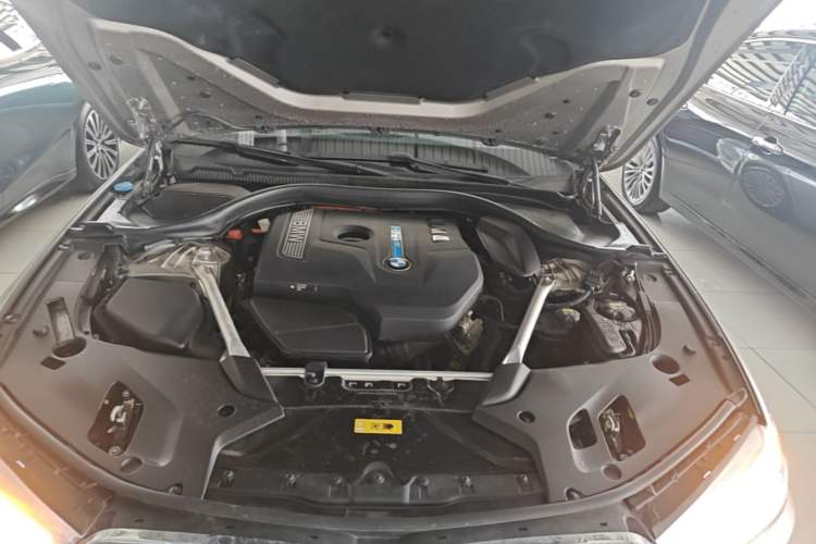 Used BMW 5 Series New Energy 2020 530Le Luxury Package Engine Bay