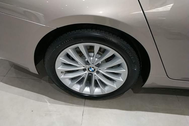 Used BMW 5 Series New Energy 2020 530Le Luxury Package Exterior 5