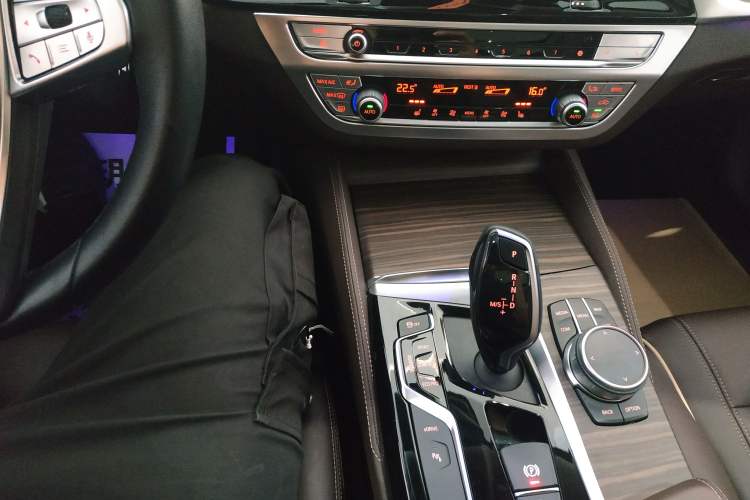 Used BMW 5 Series New Energy 2020 530Le Luxury Package Gear Lever
