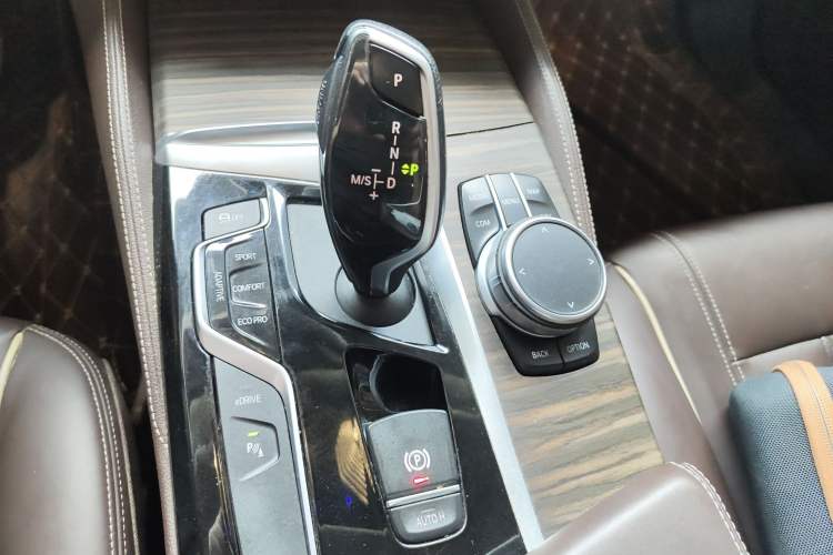 Used BMW 5 Series New Energy 2020 530Le Luxury Package Gear Lever