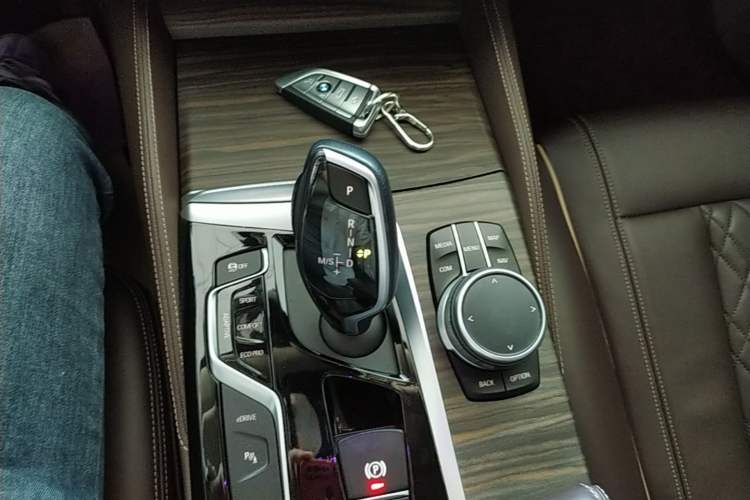 Used BMW 5 Series New Energy 2020 Mileage Upgrade Version 530Le Luxury Package Gear Lever