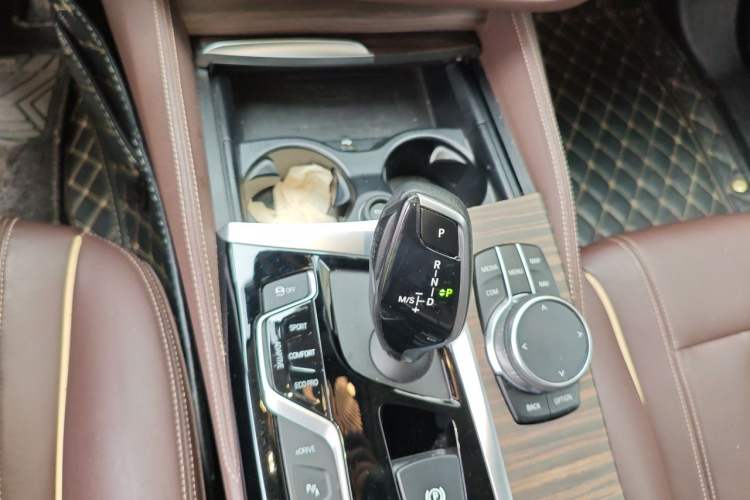 Used BMW 5 Series New Energy 2020 Mileage Upgrade Version 530Le Luxury Package Gear Lever