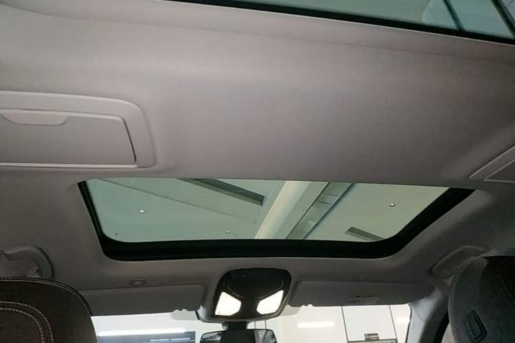 Used BMW 5 Series New Energy 2020 530Le Luxury Package Headliner