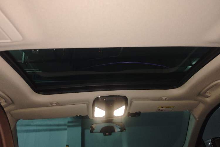 Used BMW 5 Series New Energy 2020 530Le Pioneer Edition Headliner