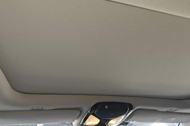 Used BMW 5 Series New Energy 2020 Mileage Upgrade Version 530Le Luxury Package Headliner