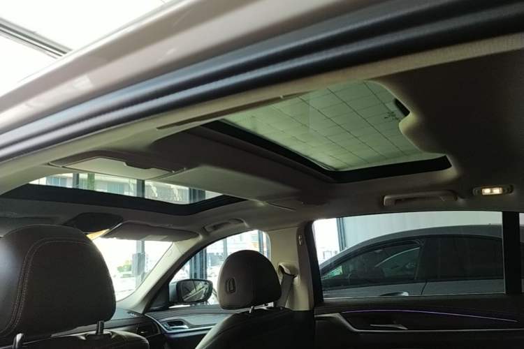Used BMW 5 Series New Energy 2020 Mileage Upgrade Version 530Le Luxury Package Headliner
