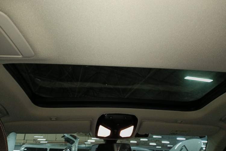 Used BMW 5 Series New Energy 2020 Mileage Upgrade Version 530Le Luxury Package Headliner