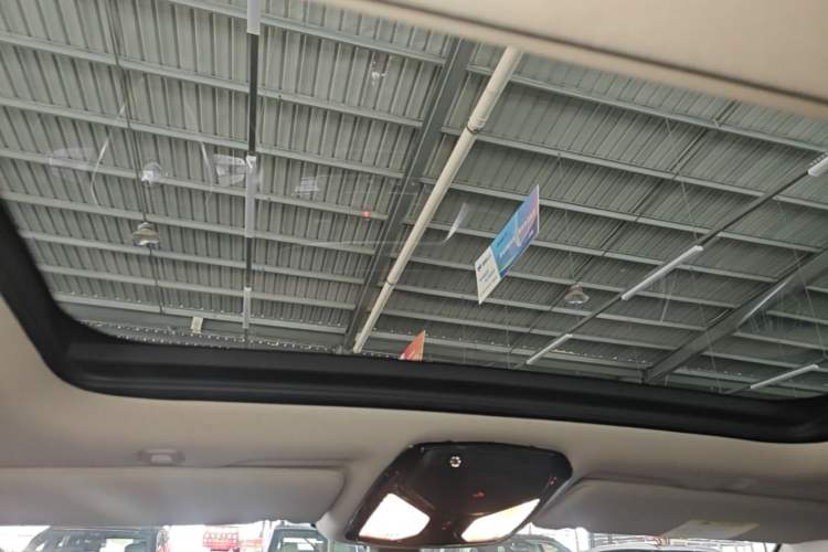 Used BMW 5 Series New Energy 2020 530Le Luxury Package Headliner