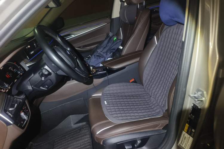 Used BMW 5 Series New Energy 2020 530Le Luxury Package Left Front Seat