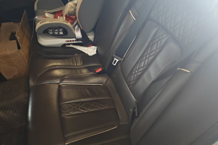 Used BMW 5 Series New Energy 2020 530Le Luxury Package Left Rear Seat