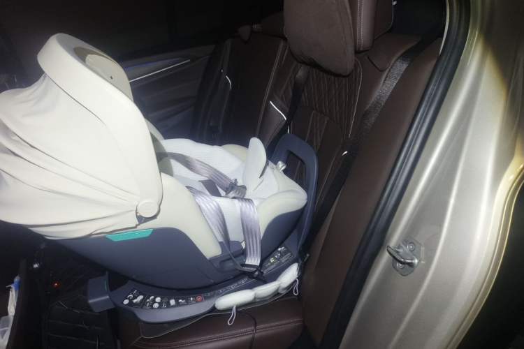 Used BMW 5 Series New Energy 2020 530Le Luxury Package Left Rear Seat
