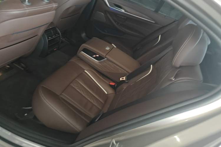 Used BMW 5 Series New Energy 2020 530Le Luxury Package Left Rear Seat