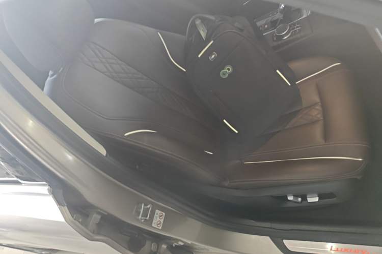 Used BMW 5 Series New Energy 2020 530Le Luxury Package Right Front Seat