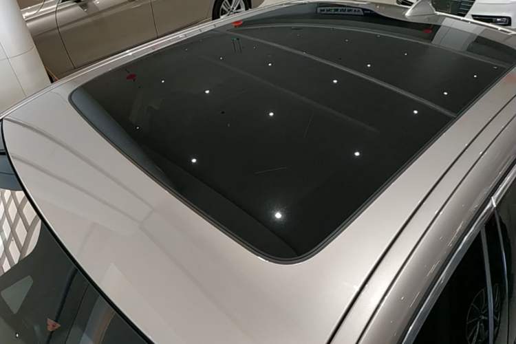 Used BMW 5 Series New Energy 2020 530Le Luxury Package Roof