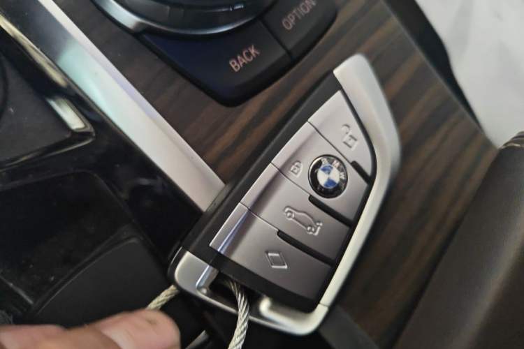Used BMW 5 Series New Energy 2020 530Le Luxury Package Vehicle Key