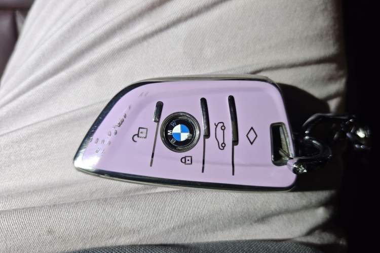 Used BMW 5 Series New Energy 2020 530Le Luxury Package Vehicle Key