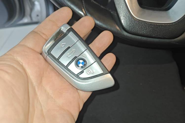 Used BMW 5 Series New Energy 2020 530Le Luxury Package Vehicle Key