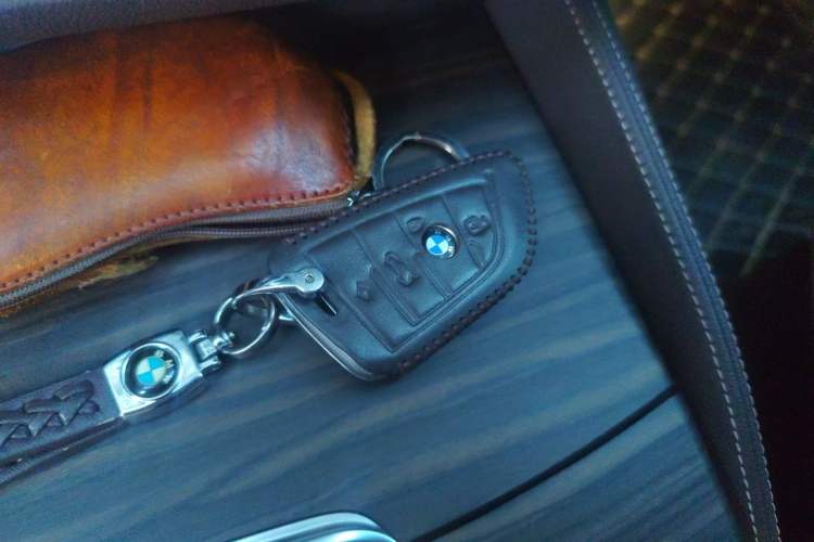 Used BMW 5 Series New Energy 2020 Mileage Upgrade Version 530Le Pioneer Edition Vehicle Key