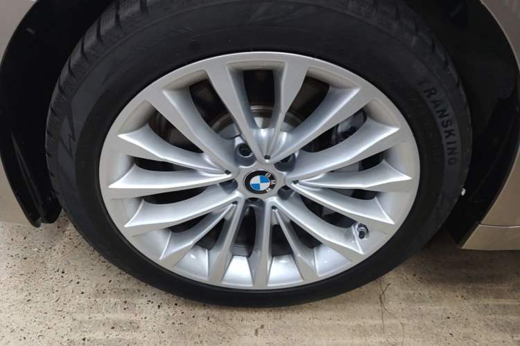 Used BMW 5 Series New Energy 2020 Mileage Upgrade Version 530Le Luxury Package Exterior 4
