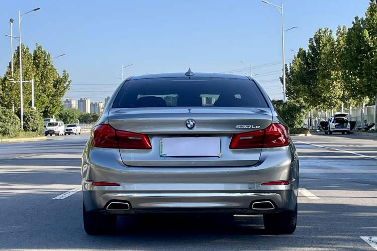 Used BMW 5 Series New Energy 2020 Mileage Upgrade Version 530Le Luxury Package Exterior 5