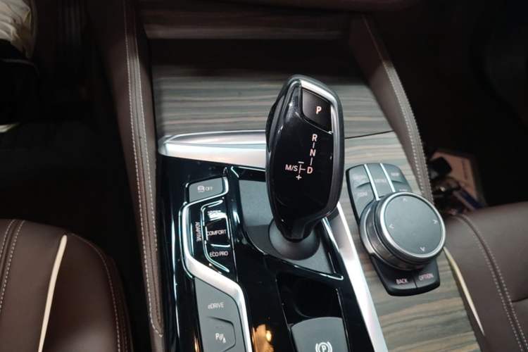 Used BMW 5 Series New Energy 2020 Mileage Upgrade Version 530Le Luxury Package Gear Lever