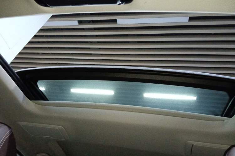 Used BMW 5 Series New Energy 2020 Mileage Upgrade Version 530Le Luxury Package Headliner