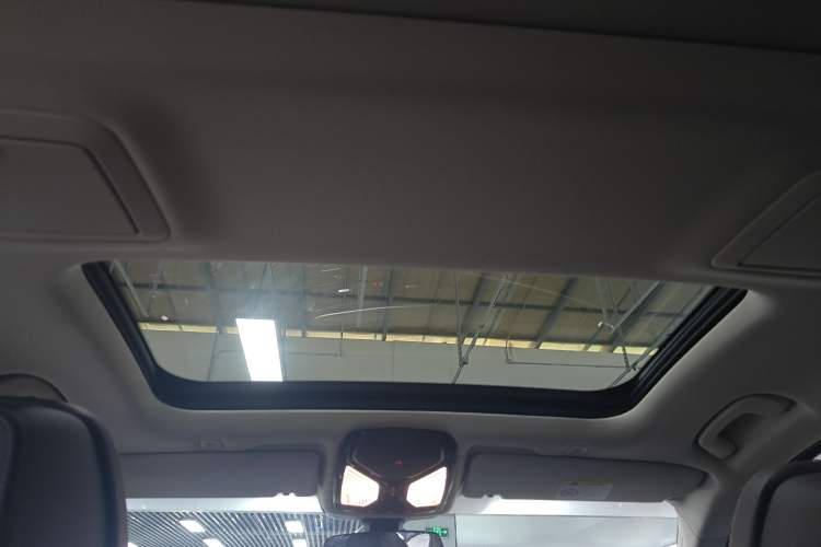 Used BMW 5 Series New Energy 2020 Mileage Upgrade Version 530Le Pioneer Edition Headliner