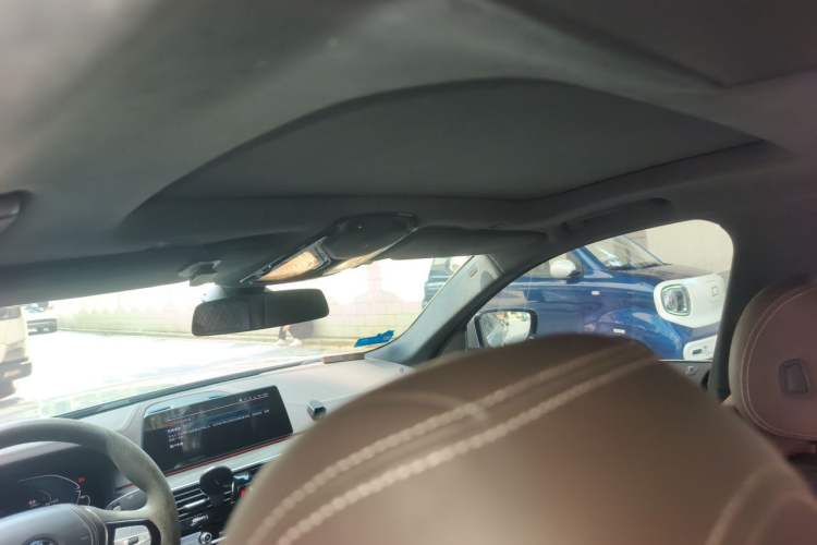 Used BMW 5 Series New Energy 2020 530Le Luxury Package Headliner