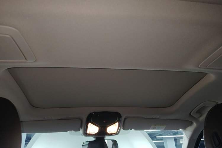Used BMW 5 Series New Energy 2020 Mileage Upgrade Version 530Le Luxury Package Headliner