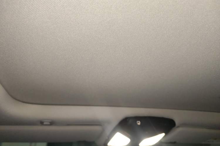 Used BMW 5 Series New Energy 2020 530Le Luxury Package Headliner
