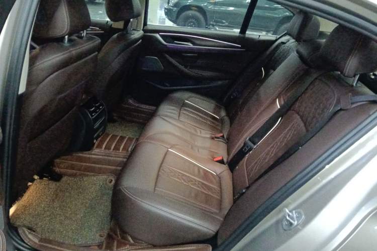 Used BMW 5 Series New Energy 2020 Mileage Upgrade Version 530Le Luxury Package Left Rear Seat