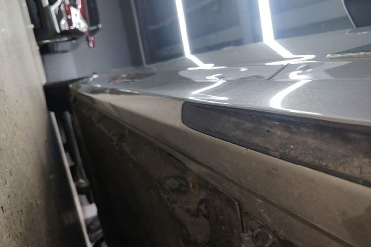 Used BMW 5 Series New Energy 2020 Mileage Upgrade Version 530Le Luxury Package Right Side Sill